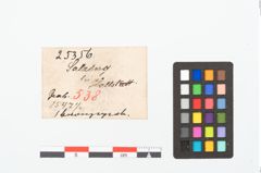 Foto von Bronzeperle (NHMW-PRAE-025356)